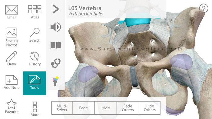 نرم افزار پزشکی (برای اندروید) - Human Anatomy Atlas 7.4 Android