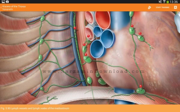 نرم افزار پزشکی (برای اندروید) - Sobotta Anatomy Atlas 2.8.1 Android