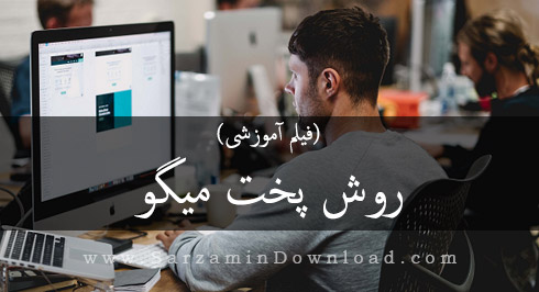 روش پخت <strong>میگو</strong> با سس <strong>گوجه</strong> <strong>فرنگی</strong> (<strong>فیلم</strong> <strong>آموزشی</strong>)